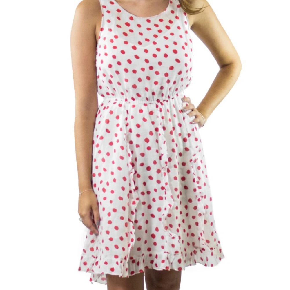 Postmark Anthropologie polka dot dress size 2